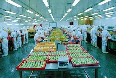 山東食品加工 互聯網開啟食品新模式，引領產業升級新篇章
